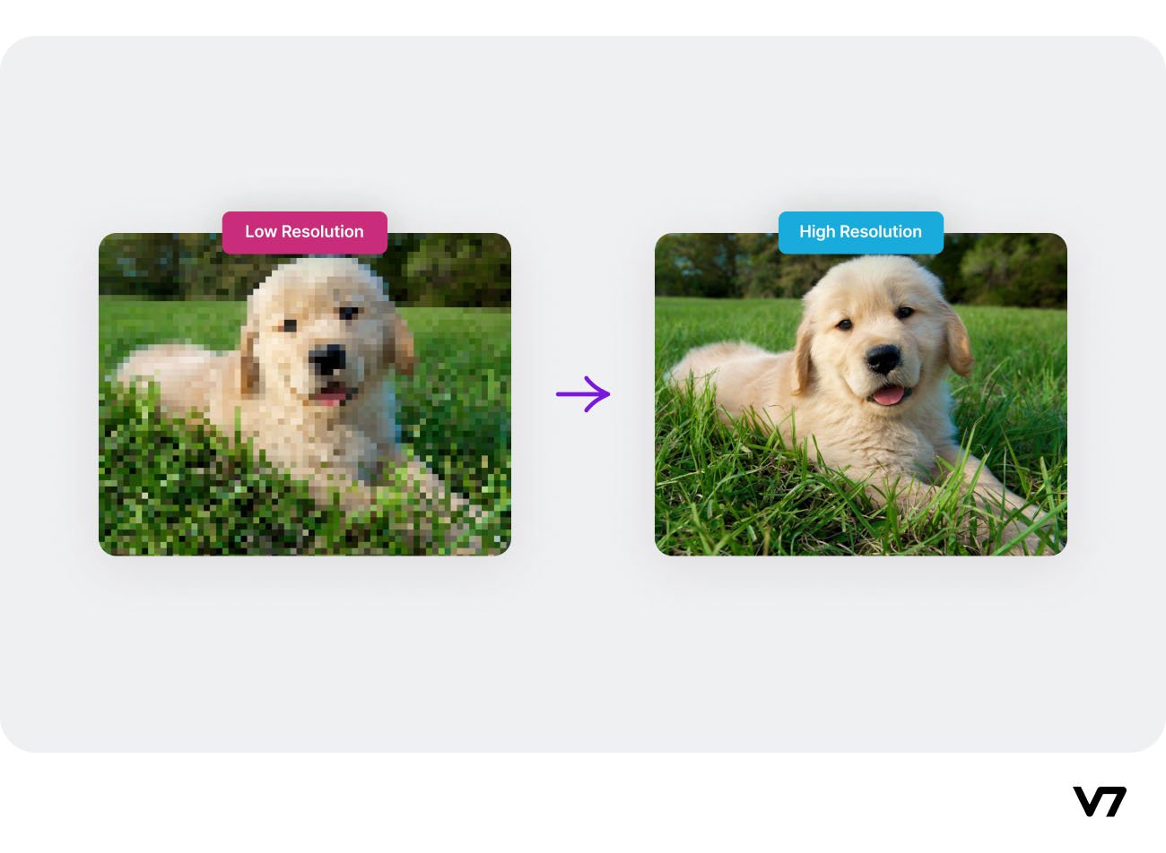 A Complete Guide to GANs Types, Techniques, and RealWorld Applications